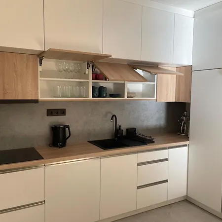 V Centru Ostravy S Parkovanim Apartamento *
