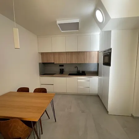 Apartman V Centru Ostravy S Parkovanim * 俄斯特拉发
